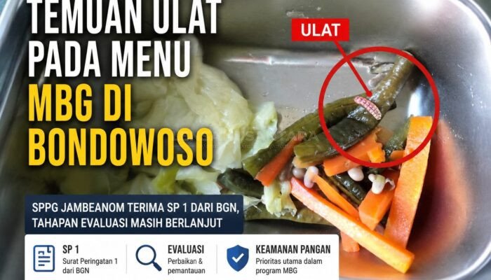 Pasca Ditemukan Ulat di Menu MBG, SPPG Jambeanom Bondowoso Terima SP 1 dari BGN