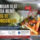 Pasca Ditemukan Ulat di Menu MBG, SPPG Jambeanom Bondowoso Terima SP 1 dari BGN