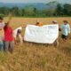 Proyek Irigasi Milik BBWSO di Banjarnegara Lambat, Ratusan Hektar Sawah Petani Desa Serang Gagal Panen