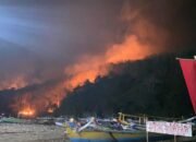 Gunung Watangan Jember Terbakar, 6,5 Hektare Lahan Perhutani