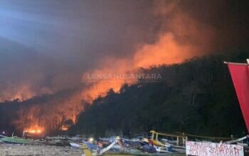 Gunung Watangan Jember Terbakar, 6,5 Hektare Lahan Perhutani