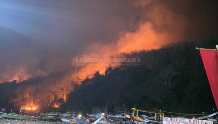 Gunung Watangan Jember Terbakar, 6,5 Hektare Lahan Perhutani