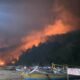 Gunung Watangan Jember Terbakar, 6,5 Hektare Lahan Perhutani