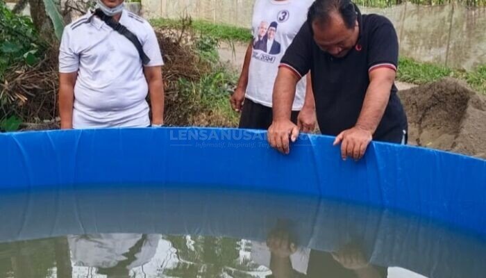 BUMDes Lembengan Jaya Jember Sukses Budidaya Lele dan Ternak Kambing, Jadi Penggerak Ekonomi Desa