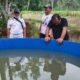 BUMDes Lembengan Jaya Jember Sukses Budidaya Lele dan Ternak Kambing, Jadi Penggerak Ekonomi Desa
