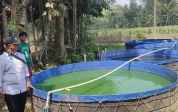 Pengelola BUMDes Lembengan Jaya Mandiri Jember Tegaskan Keuntungan Lele dan Kambing Kembali Pengembangan Modal Usaha