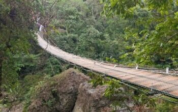 Baru Saja Diresmikan Jembatan Gantung Pongpet Anjlok, Saat Rombongan Pejabat Melintas