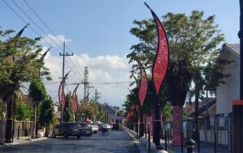 Gus Fawait Ungkap Alasan Jember Warna Pink, Ternyata Branding Identitas Daerah