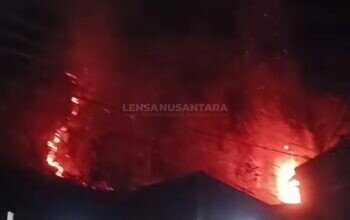 Gunung Trianggulasi Jember Kembali Terbakar, BPBD Ingatkan Warga Tak Bakar Lahan
