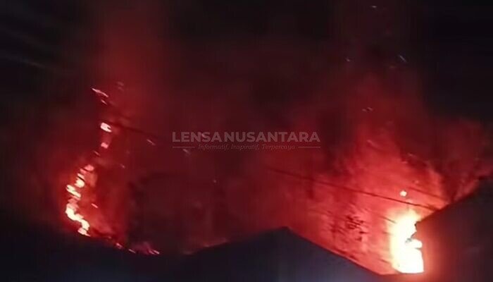 Gunung Trianggulasi Jember Kembali Terbakar, BPBD Ingatkan Warga Tak Bakar Lahan
